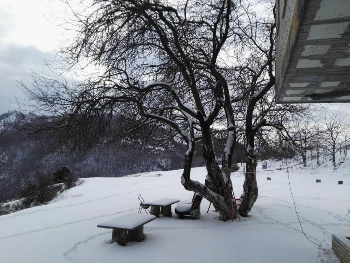 Hotel Bujtina E Tomorrit Ujanik Exterior foto
