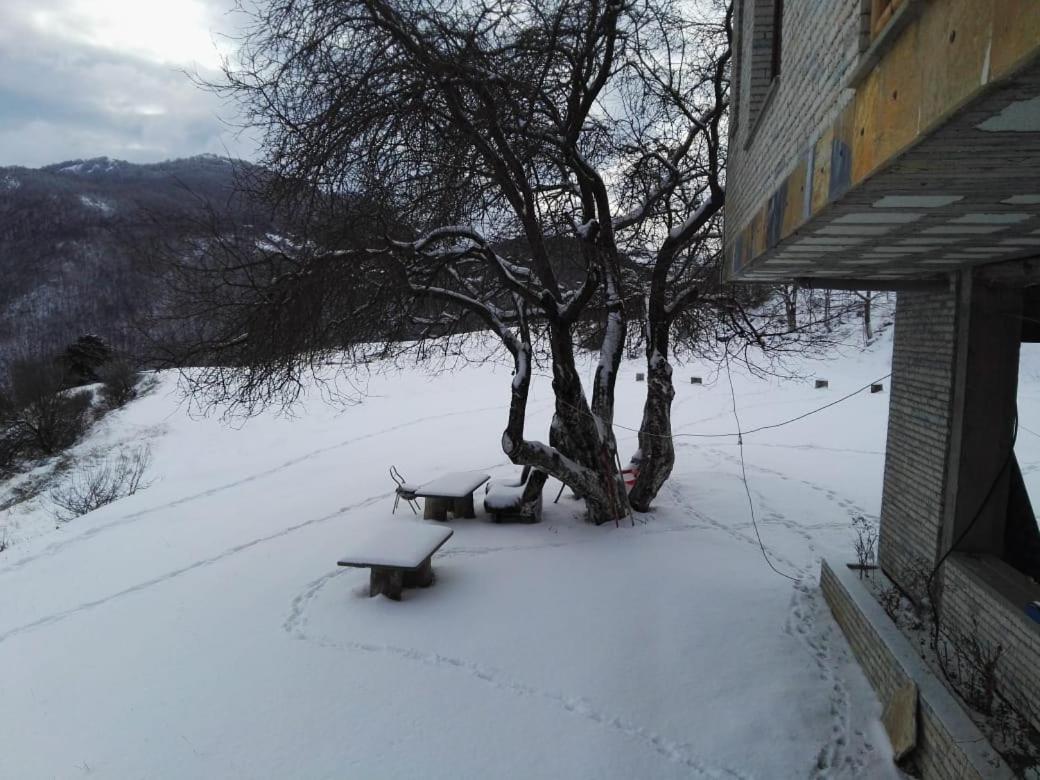 Hotel Bujtina E Tomorrit Ujanik Exterior foto